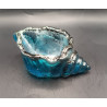 Coquillage Bleu