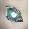 Coquillage Bleu